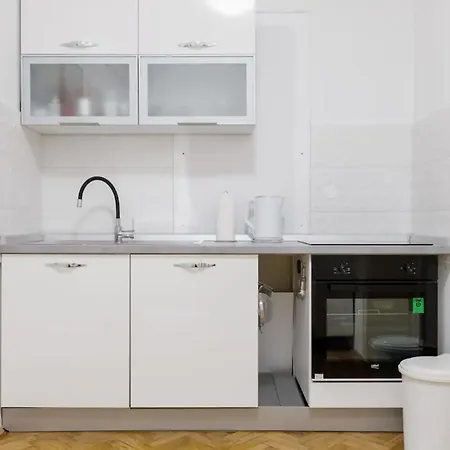 Luxusni, Prostorne V Centru Mesta Appartement *